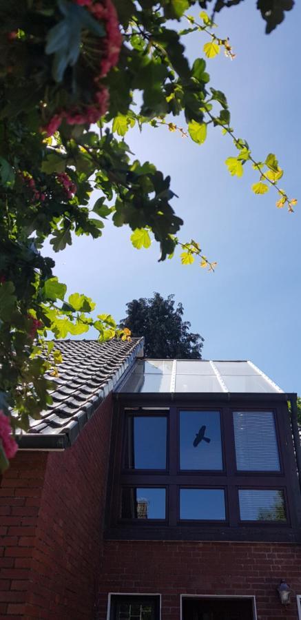 Giselas Haus Cloppenburg Luaran gambar